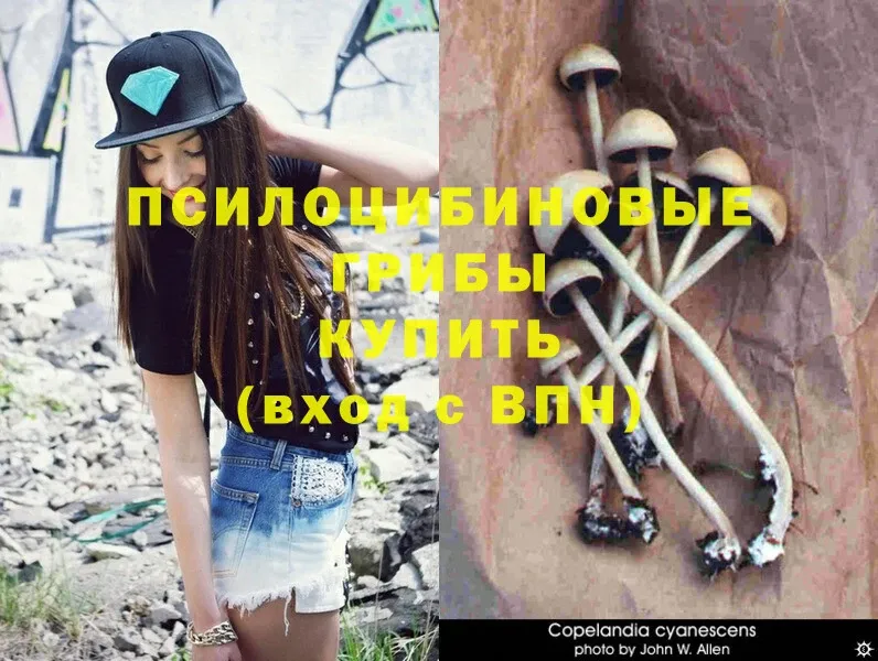 Галлюциногенные грибы Magic Shrooms  Порхов 