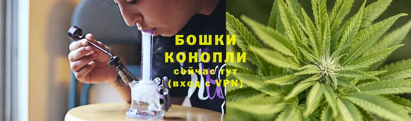 Бошки Шишки THC 21%  Порхов 